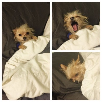 111.jpg (56.73 КБ) 5331 просмотр 111.jpg