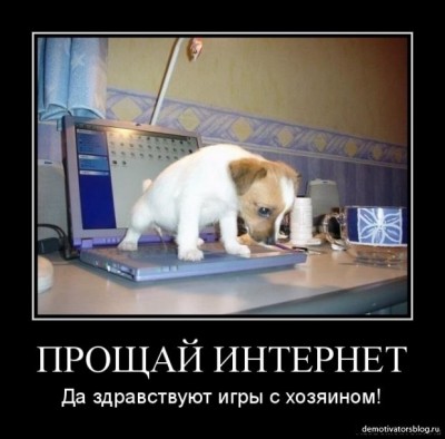 image.jpg (69.75 КБ) 4825 просмотров image.jpg