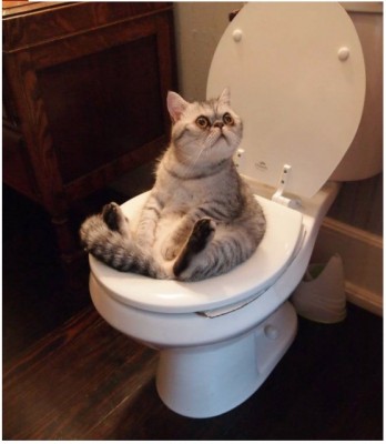 image.jpg (67.79 КБ) 5321 просмотр image.jpg