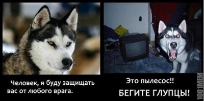 1.jpg (48.71 КБ) 5288 просмотров 1.jpg