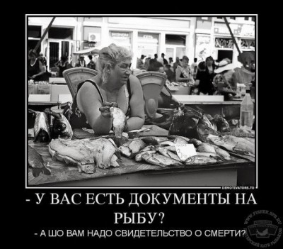 image.jpg (107.38 КБ) 4804 просмотра image.jpg