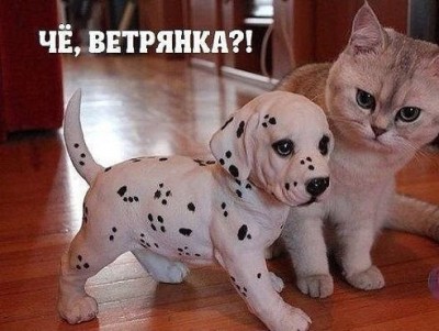 image.jpg (61.38 КБ) 5255 просмотров image.jpg