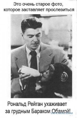 image.jpg (39.58 КБ) 5241 просмотр image.jpg