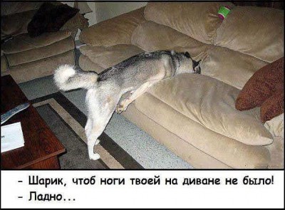 image.jpg (75.56 КБ) 5276 просмотров image.jpg