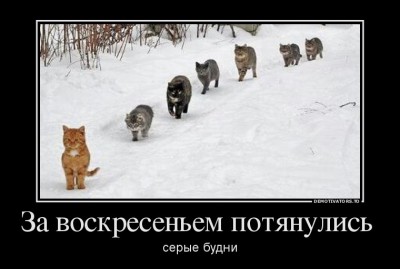 image.jpg (72.24 КБ) 4754 просмотра image.jpg