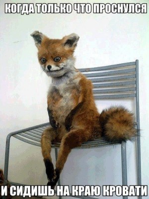 1.jpg (51.92 КБ) 7518 просмотров 1.jpg