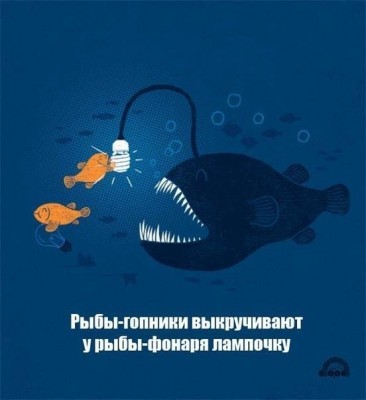 рыбы-рыба-фонарь-рыбы-гопники-1570961.jpeg (39.24 КБ) 7390 просмотров рыбы-рыба-фонарь-рыбы-гопники-1570961.jpeg