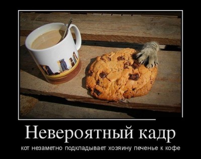 2.jpg (60.51 КБ) 4569 просмотров 2.jpg