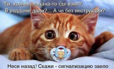 getImage-54.jpeg (43.94 КБ) 5565 просмотров getImage-54.jpeg