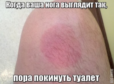 11.jpg (73.22 КБ) 6975 просмотров 11.jpg