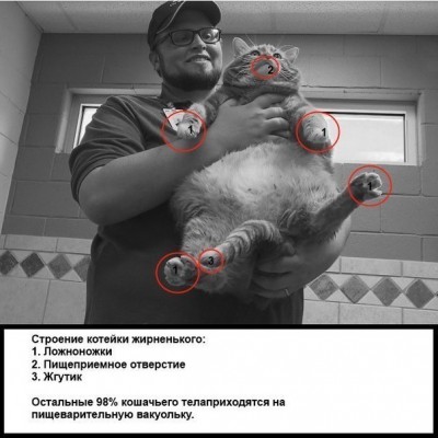 7SAAf_IaIYA.jpg (66.17 КБ) 7030 просмотров 7SAAf_IaIYA.jpg