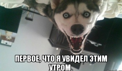 jlQ5LCnnDLY.jpg (31.07 КБ) 7030 просмотров jlQ5LCnnDLY.jpg