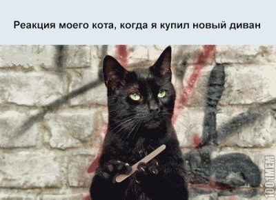 111.jpg (62.77 КБ) 7004 просмотра 111.jpg