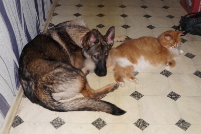 DSC00605.JPG (138.58 КБ) 16655 просмотров DSC00605.JPG