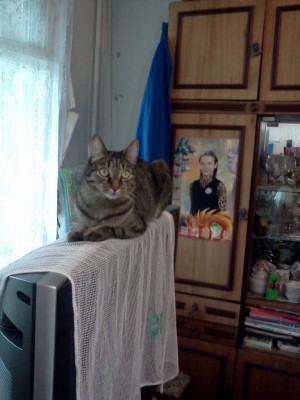 IMG080.jpg (87.76 КБ) 16622 просмотра IMG080.jpg