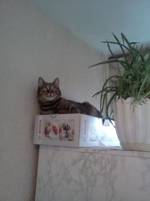 IMG090.jpg (57.35 КБ) 16624 просмотра IMG090.jpg