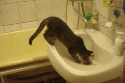 DSC03709.JPG (73.02 КБ) 16622 просмотра DSC03709.JPG