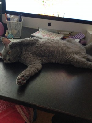 IMG_6291.jpg (1.82 МБ) 16336 просмотров IMG_6291.jpg