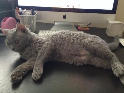 IMG_6294_2.JPG (1.49 МБ) 16338 просмотров IMG_6294_2.JPG