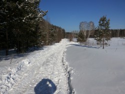 20150220_114903.jpg