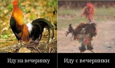 вечеринка.jpg