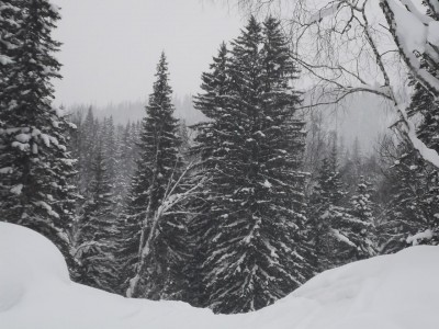 DSCF1190.JPG
