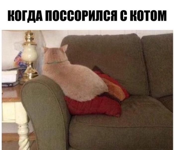 1111.jpg
