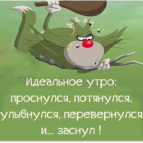 image-5.jpeg