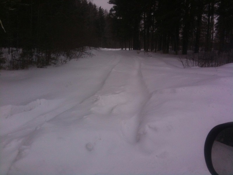 Вид с дороги1.jpg