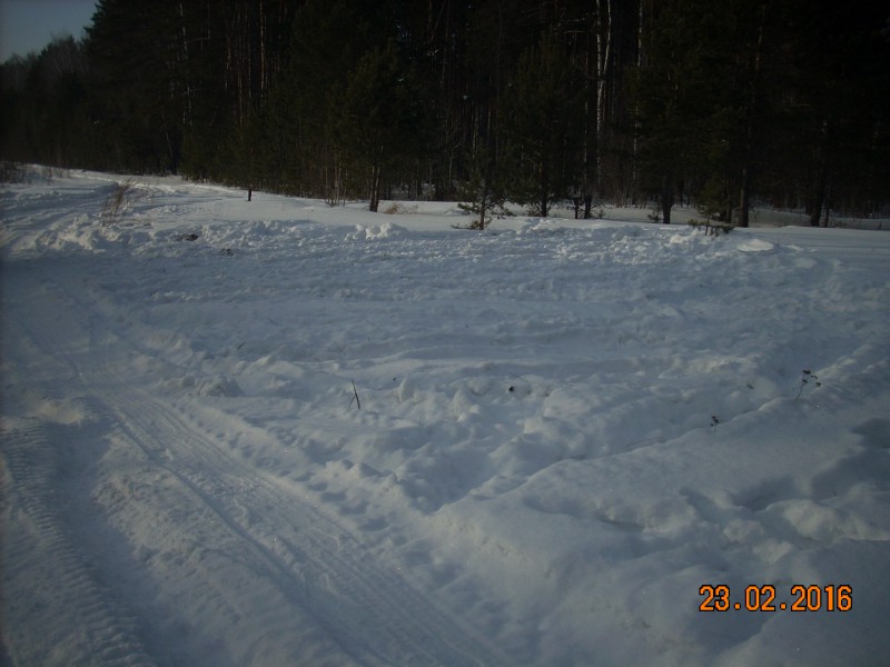 DSCN4780.JPG