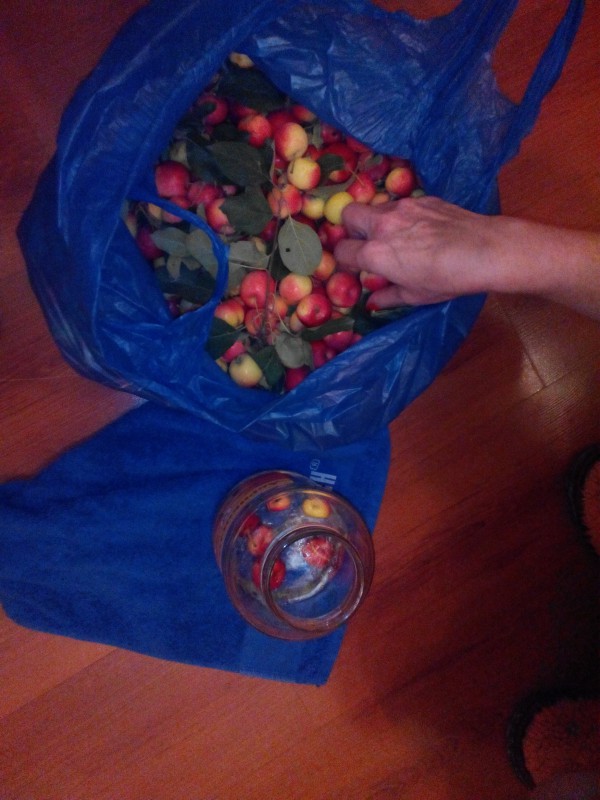 IMG_20160822_211312.jpg (1.5 МБ) 11763 просмотра IMG_20160822_211312.jpg