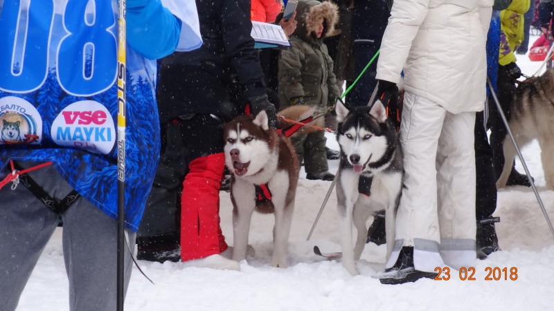 DSC07194 (1).JPG