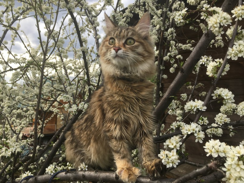 4CCBDDD7-E89E-4CF6-B6A5-51E29E6EEF7E.jpeg (1.17 МБ) 13041 просмотр 4CCBDDD7-E89E-4CF6-B6A5-51E29E6EEF7E.jpeg