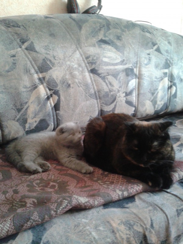 13244201-06-08 19.44.53.jpg (1.17 МБ) 11685 просмотров 13244201-06-08 19.44.53.jpg