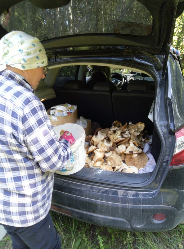 IMG_20230803_120227.jpg (3.81 МБ) 23810 просмотров IMG_20230803_120227.jpg