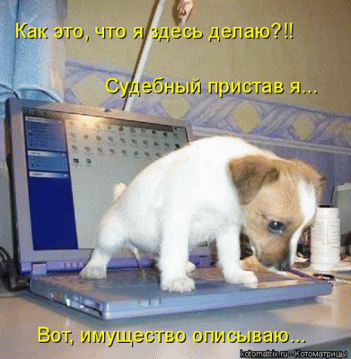 щен-пристав.gif