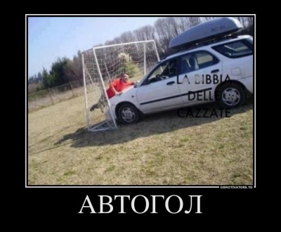 92593212_avtogol.jpeg