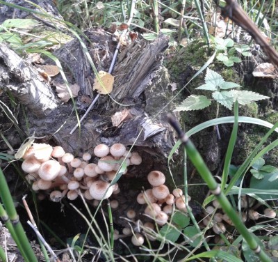 2012-09-03 10.18.30.jpg (350.33 КБ) 7732 просмотра 2012-09-03 10.18.30.jpg