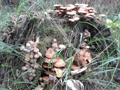 2012-09-03 12.28.59.jpg (464.85 КБ) 7744 просмотра 2012-09-03 12.28.59.jpg