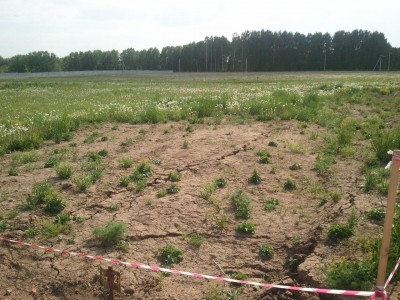 Recoverd_jpg_file(218).jpg